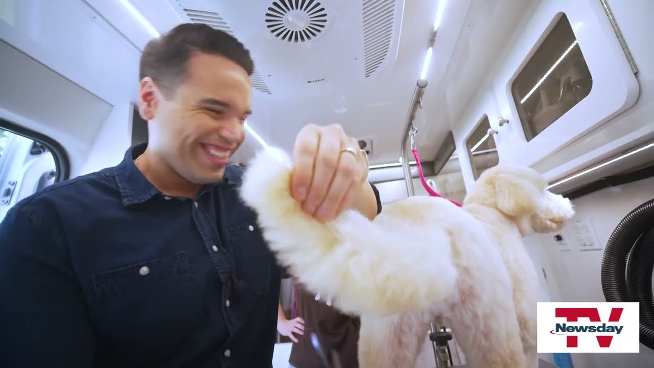 The ruff life of a mobile pet groomer