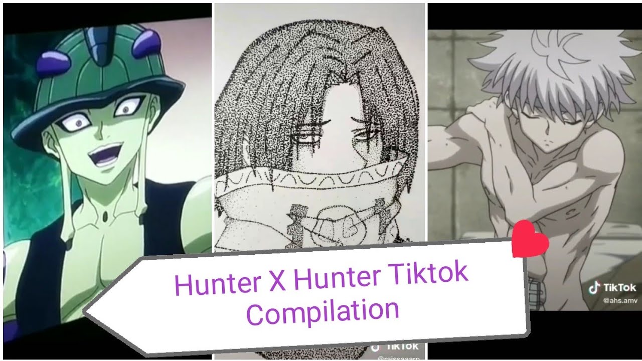 Hunter X Hunter TikTok Compilation that would definitely make your day