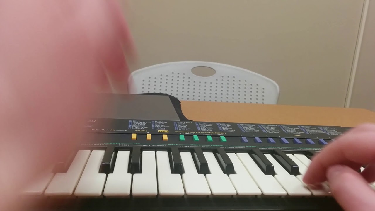 SA-1's Bigger Brother: Casio SA-20 Review