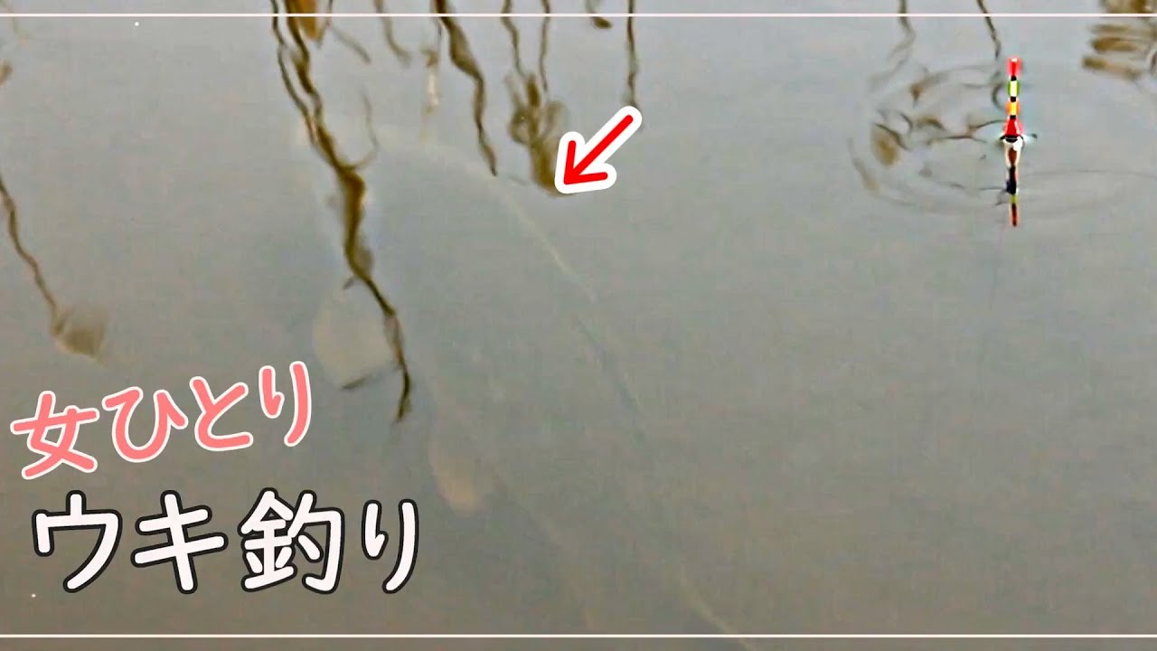 おヌシ様 - 姿を見せてくれるもエサには見向きもせず