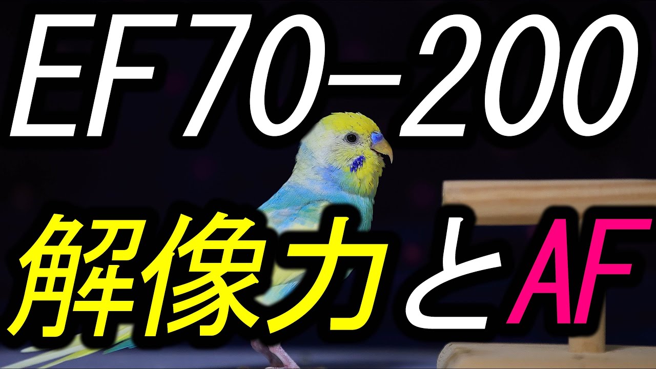 解像力とＡＦ精度、EF70-200mm F2.8L IS Ⅲ USM