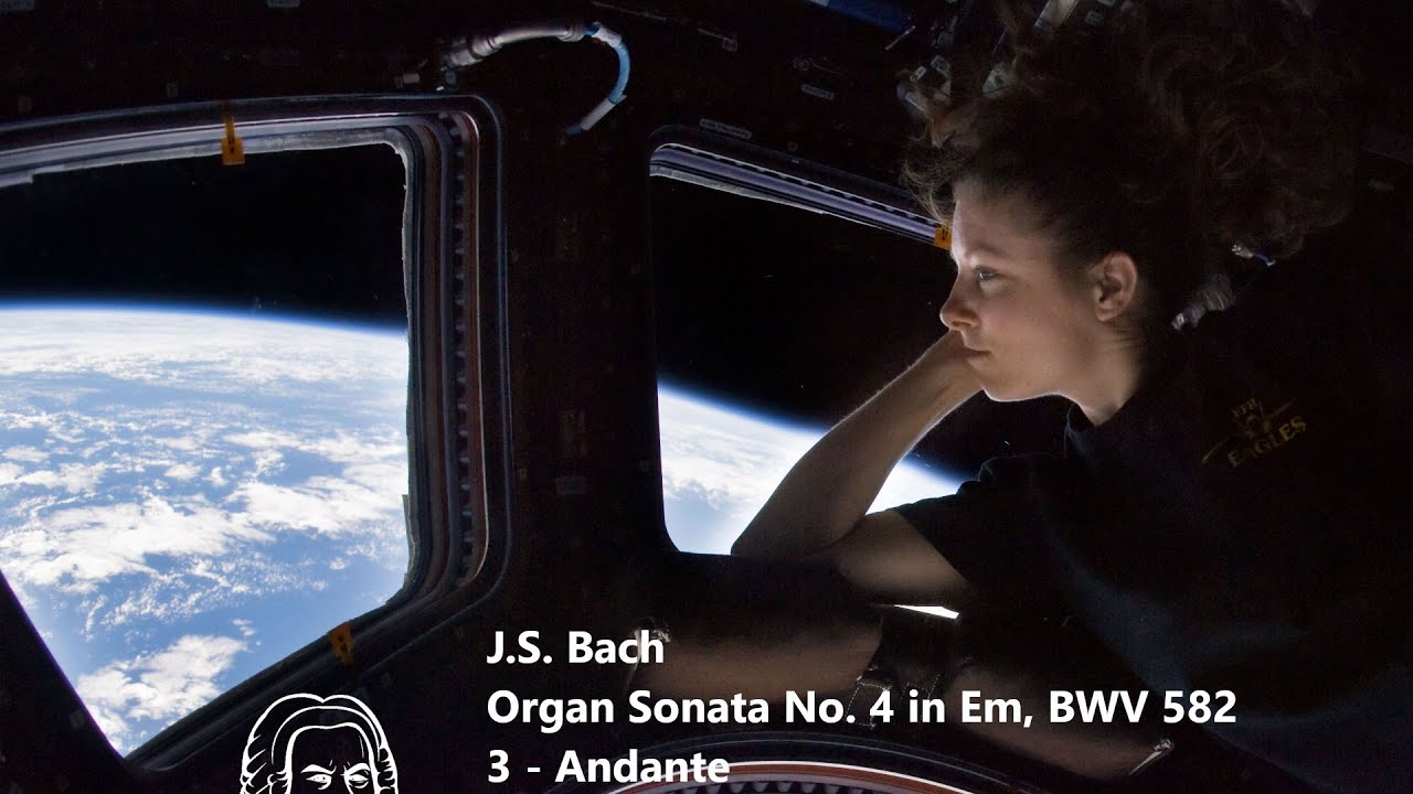 J.S. Bach - Organ Sonata (a tre) in Em, BWV 528 - 2: Andante (Synthesized)