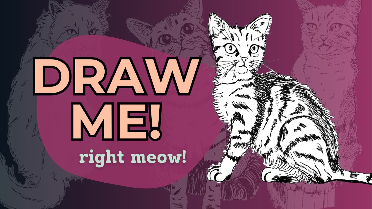 How to Draw Cats Step by Step | Excellent Tutorial for Beginners