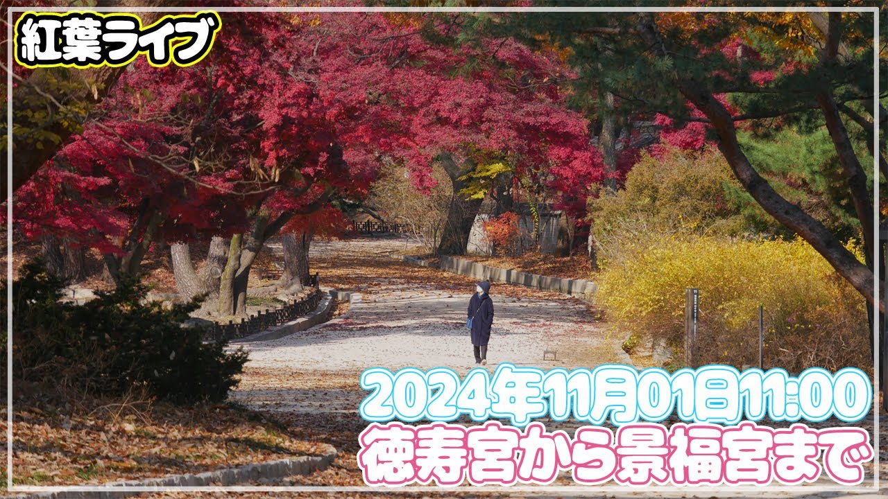 【ソウルぶらぶら】徳寿宮から景福宮まで徒歩～🎵🎵段々色が変わっていくソウル街を歩きましょう～🎵🎵