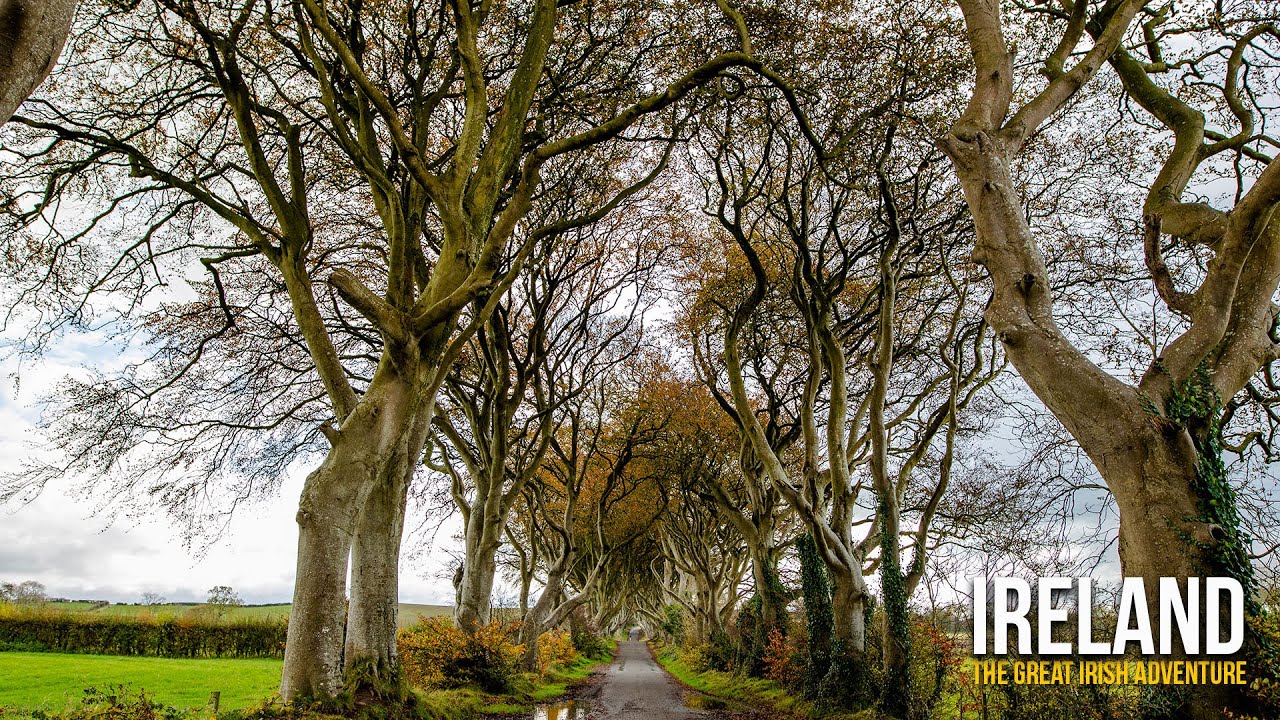 Ireland | Giants Causeway | The Great Irish Adventure | Episode 1