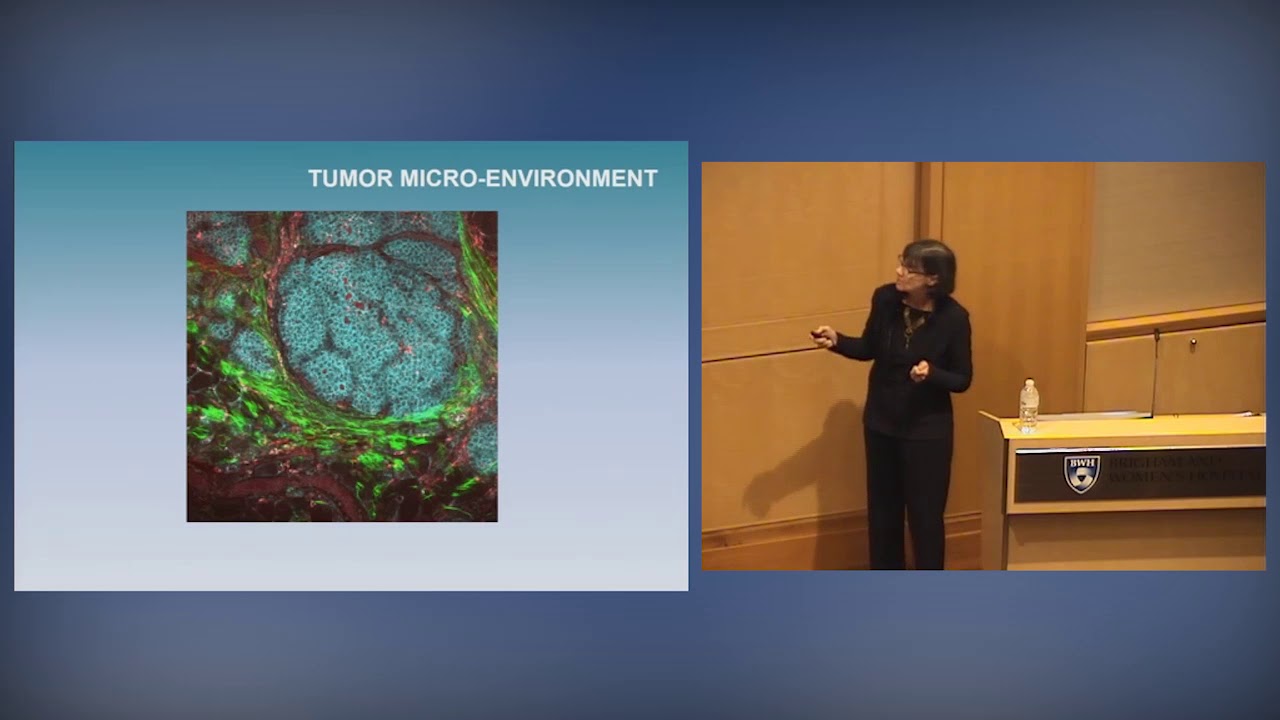 Stretching, Connective Tissue, Inflammation and Cancer
