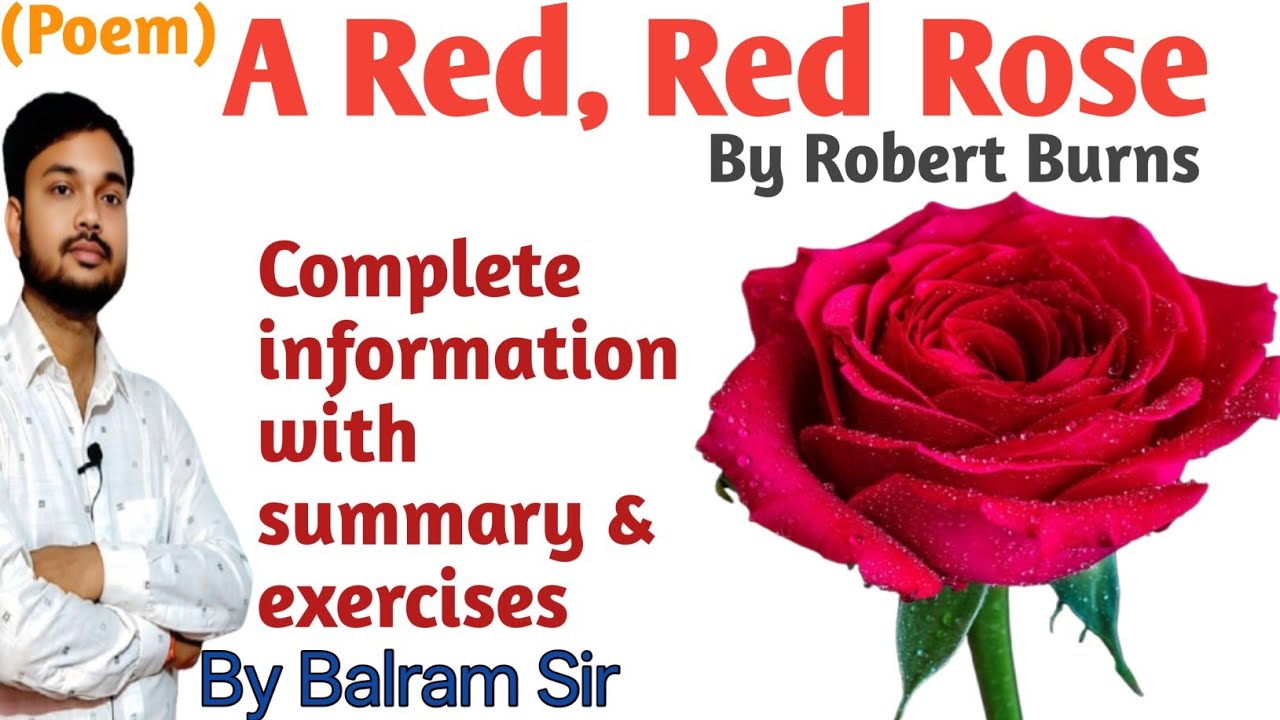 A Red, Red Rose | Poem | By Robert Burns | Complete information with summary | Exam Preparation |Tip