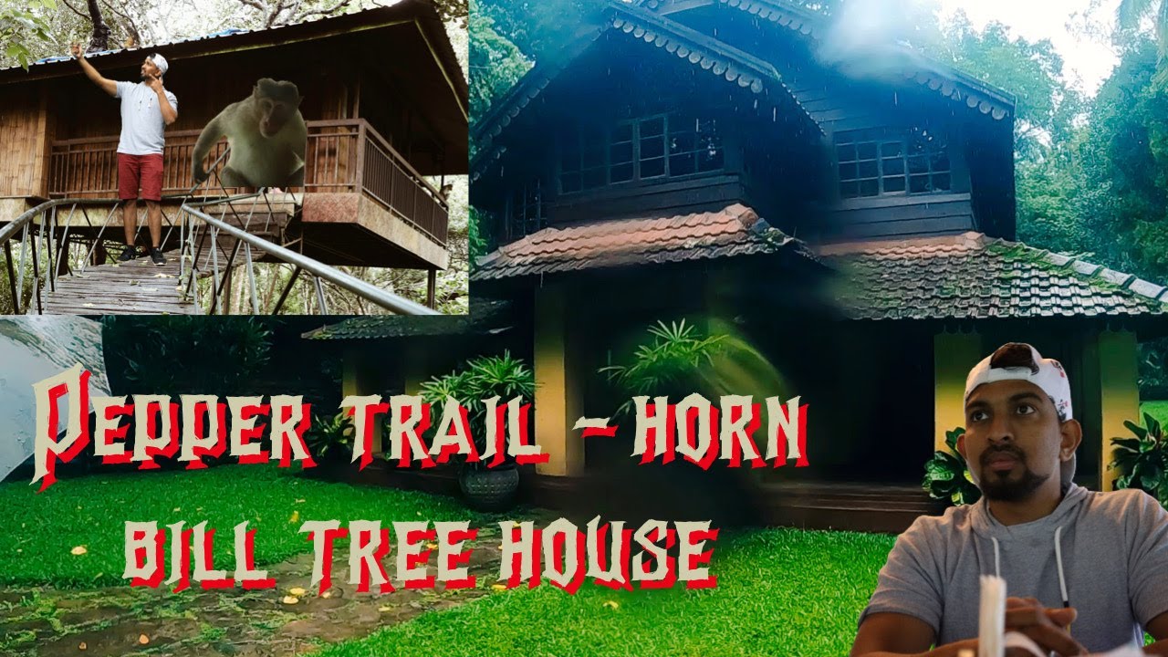Pepper trail - Luxury Resort Stay in Wayand | 140+ years old Resort by Scottish | Tree house Review