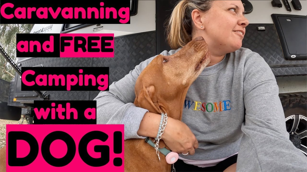 Caravanning and Free Camping With A Dog