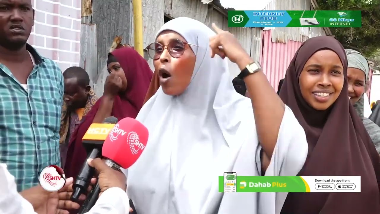 Shacabka Dab-damiska: 