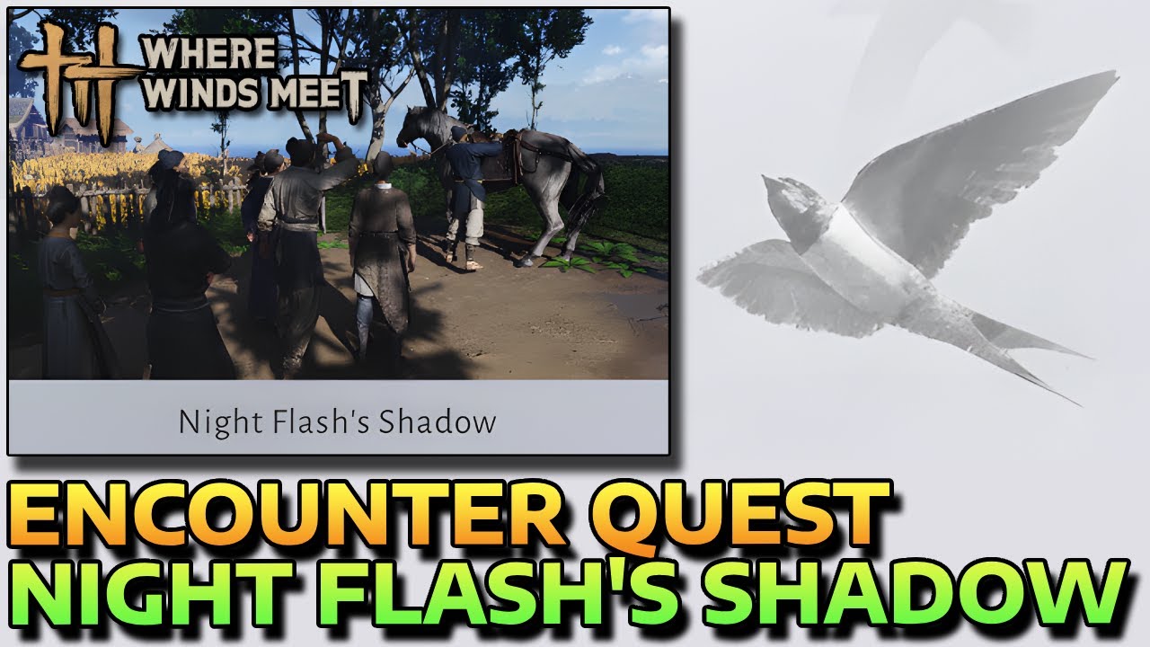 NIGHT FLASH'S SHADOW - ENCOUNTER QUEST - HOW TO START & COMPLETE - WHERE WINDS MEET