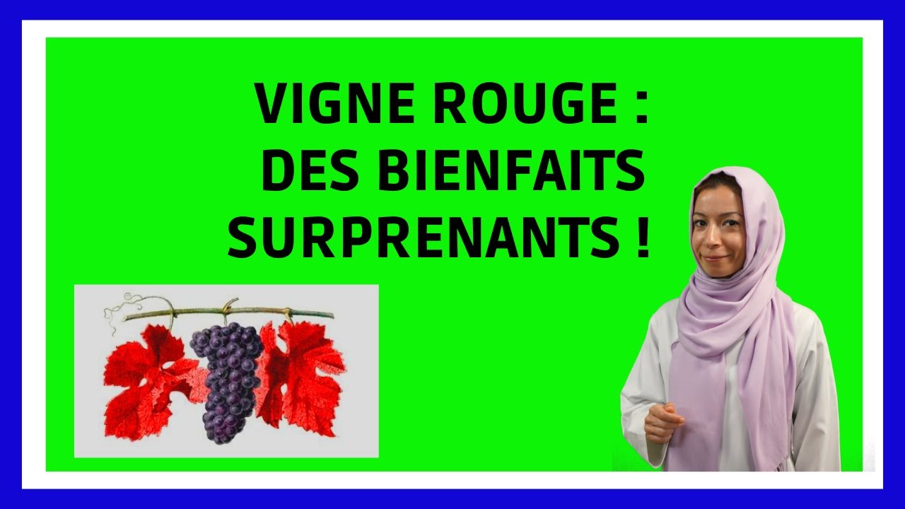Vigne Rouge : Bienfaits en 9 min !