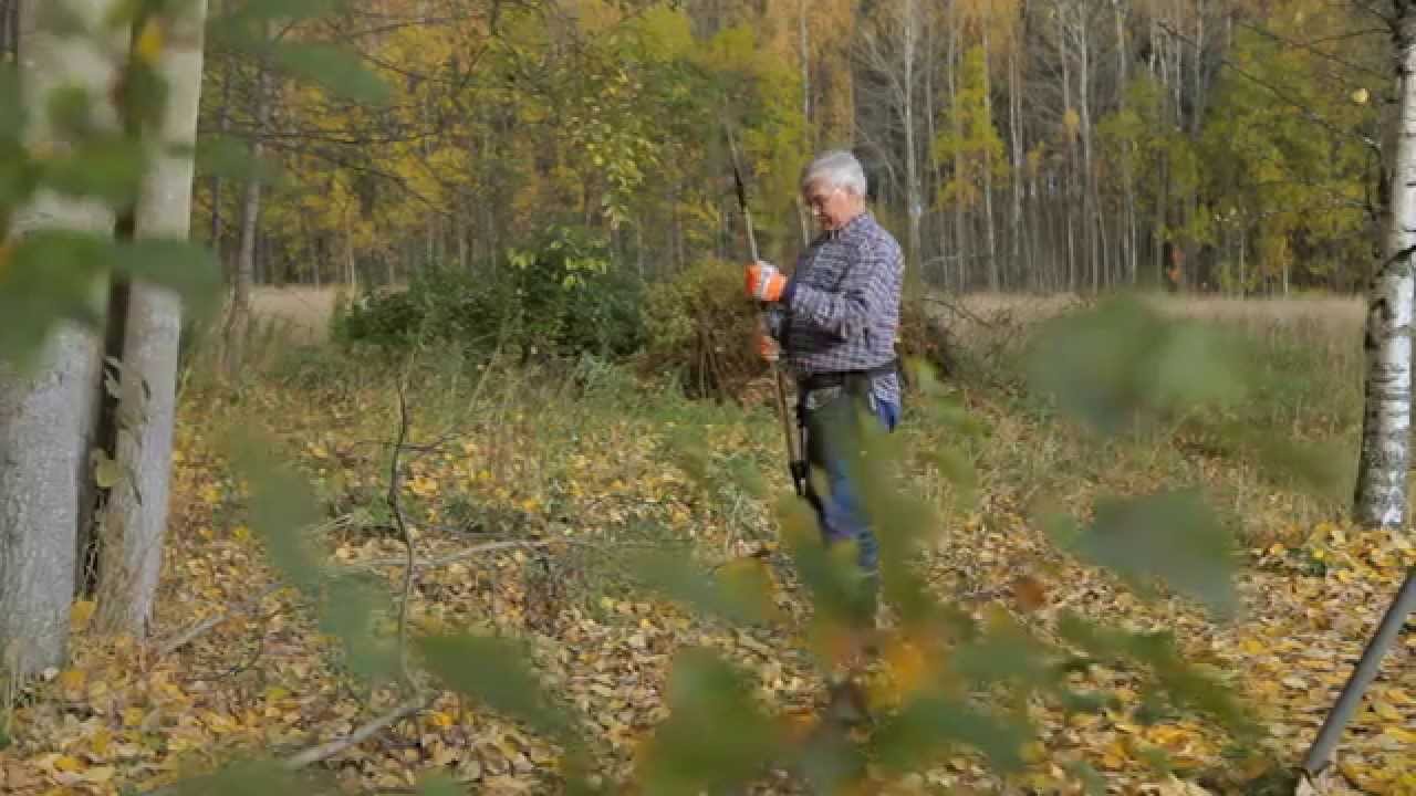 Silky Stångsågar från Grönyte-Konsult