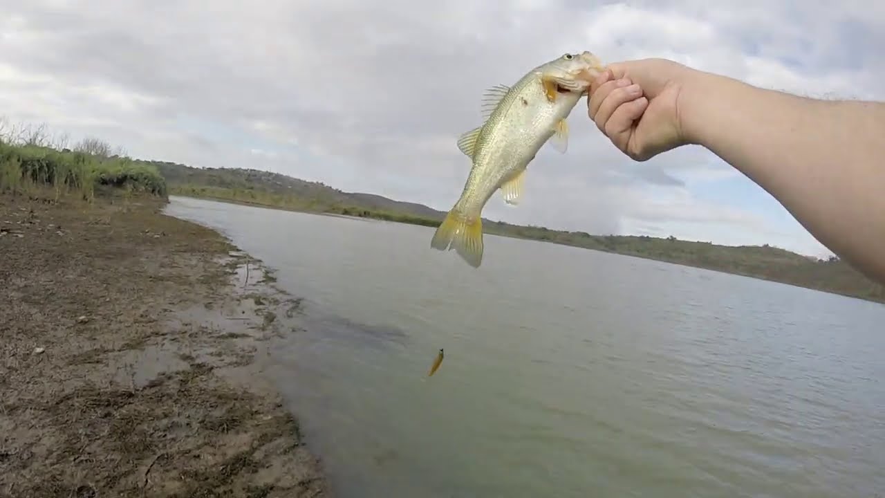 Catching Bass at Hazelmere Dam
