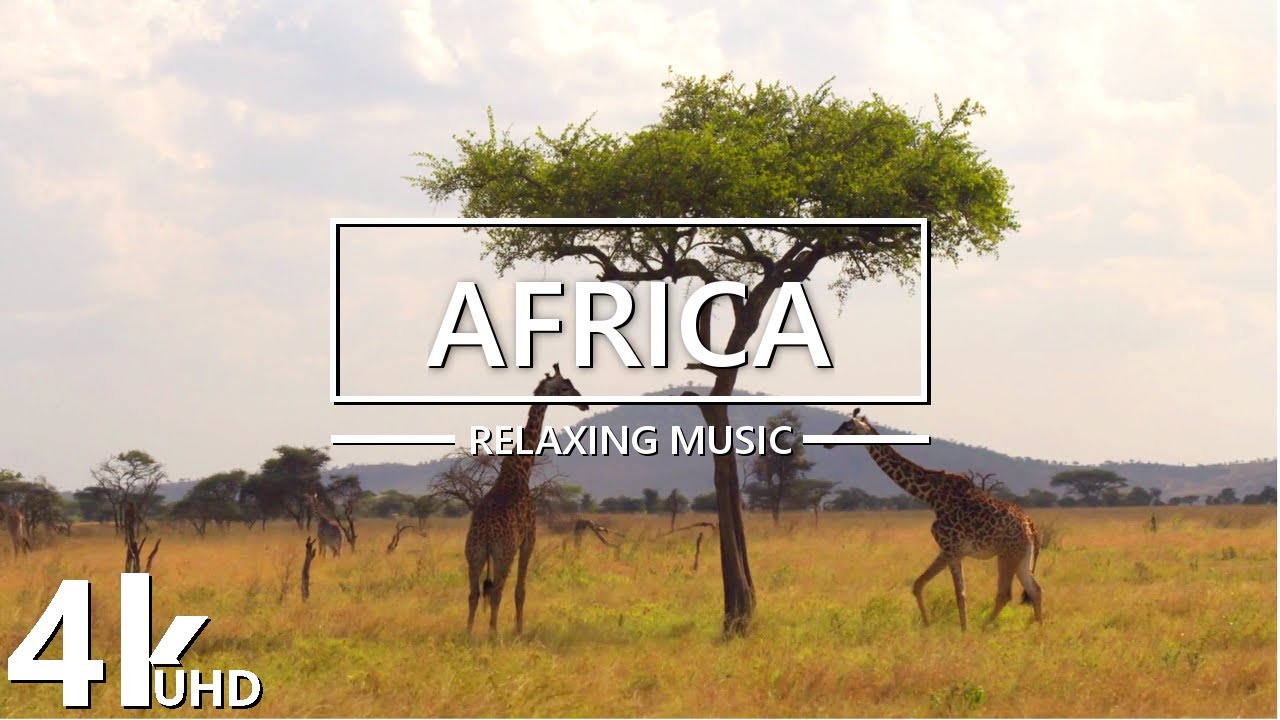 The African Savanna 4k - Relaxing Piano Music For Stress Relief - 4k Video Ultra HD