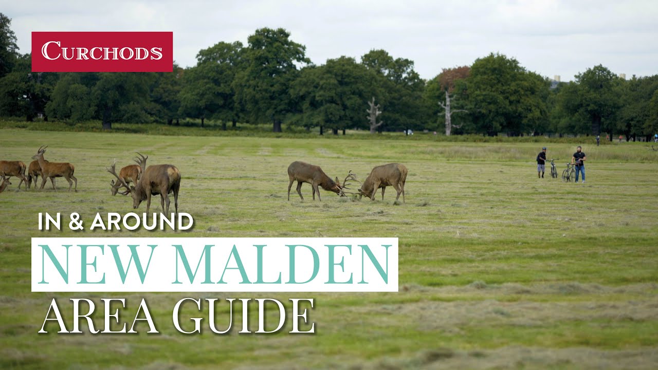 In & Around New Malden - Area Guide