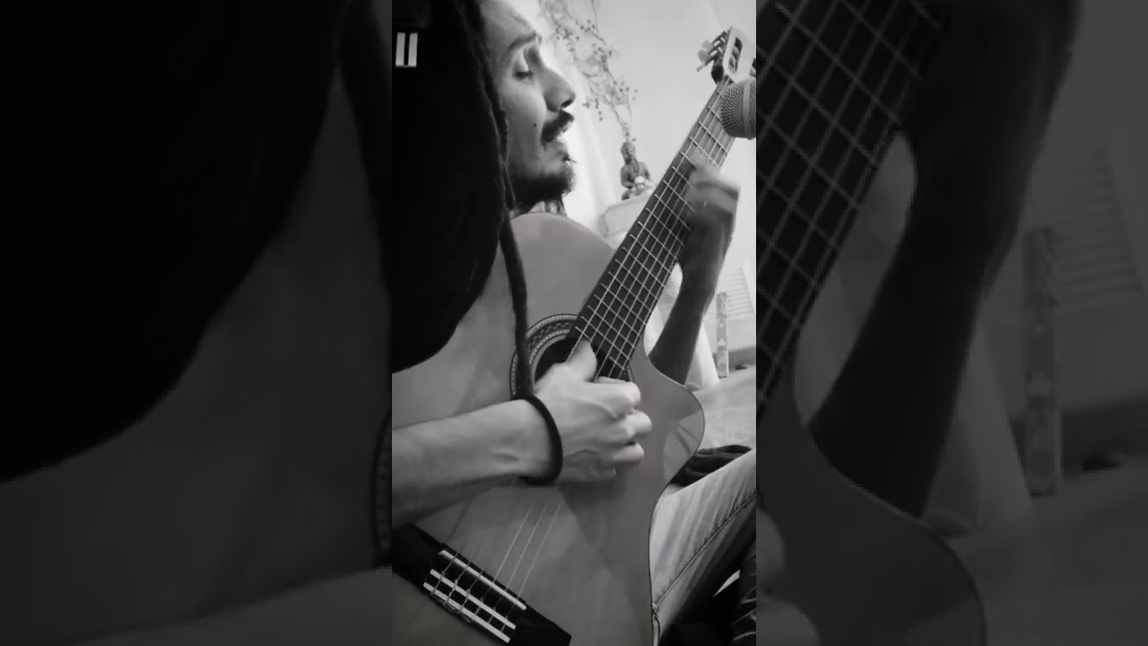 Felicidad - Gondwana (Cover by Ragunath) •Completo•