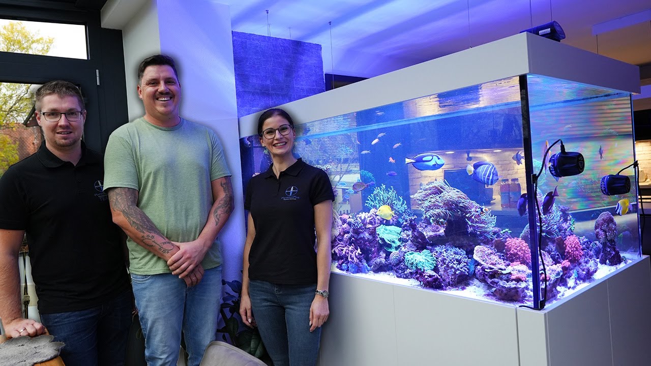 Wir besuchen einen Kunden - HAMMER MEERWASSERAQUARIUM! - PlanktonPlus Aquaristik