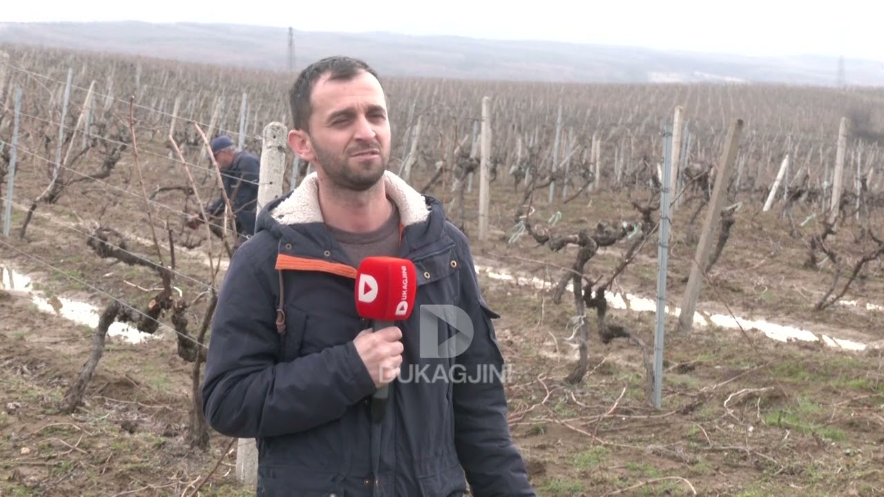 Bledar Krasniqi flet për jetën në mërgimi dhe arsyjen e kthimit në Kosovë.