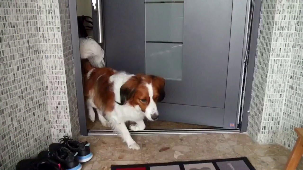 Schnell zum Einkaufen | Let's go shopping! | Anyu the Kooiker