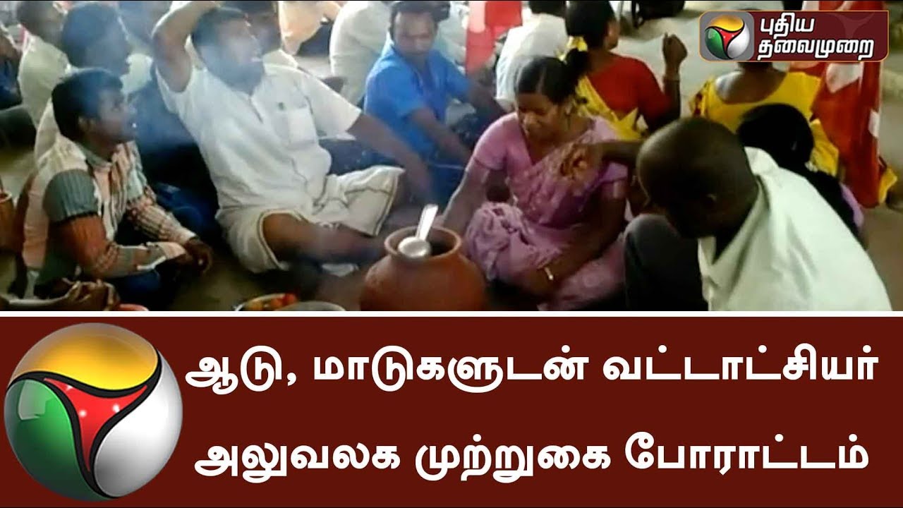People protest infront of Taluk Office along with the cattle near Tiruvannamalai | #Protest