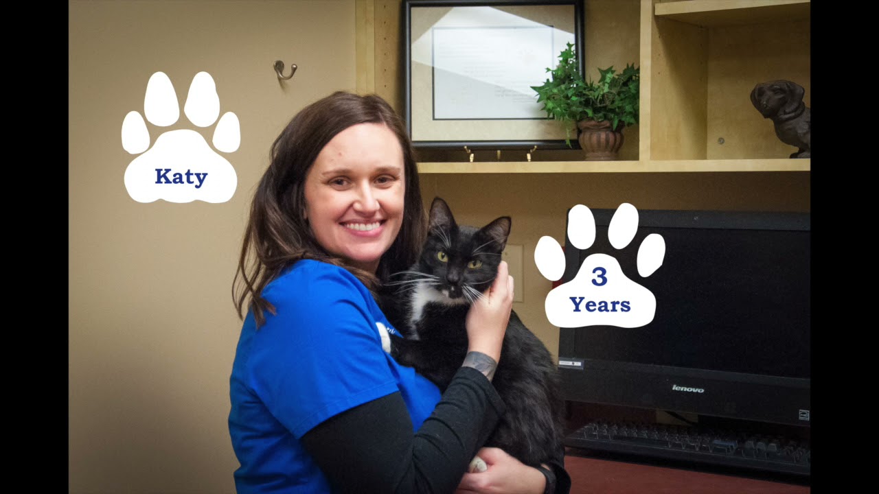 All the Love to Our Veterinary Receptionists
