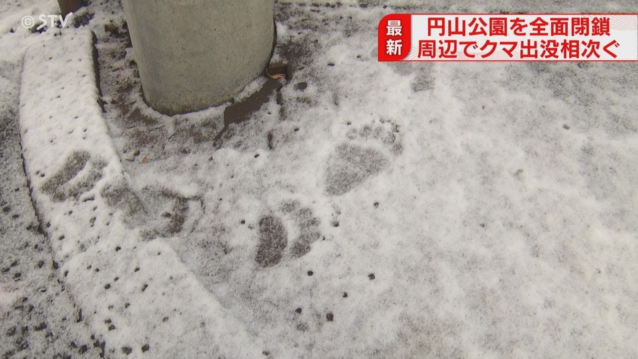 【速報】円山公園が全面閉鎖　雪の上にヒグマの足跡複数　「怖い」連日出没&hellip;同一個体か　札幌市中央区