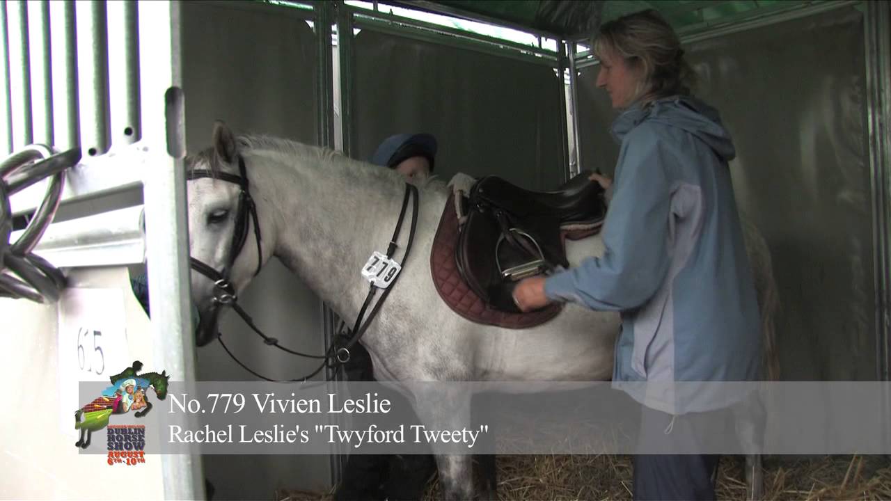 Working Hunter Pony People