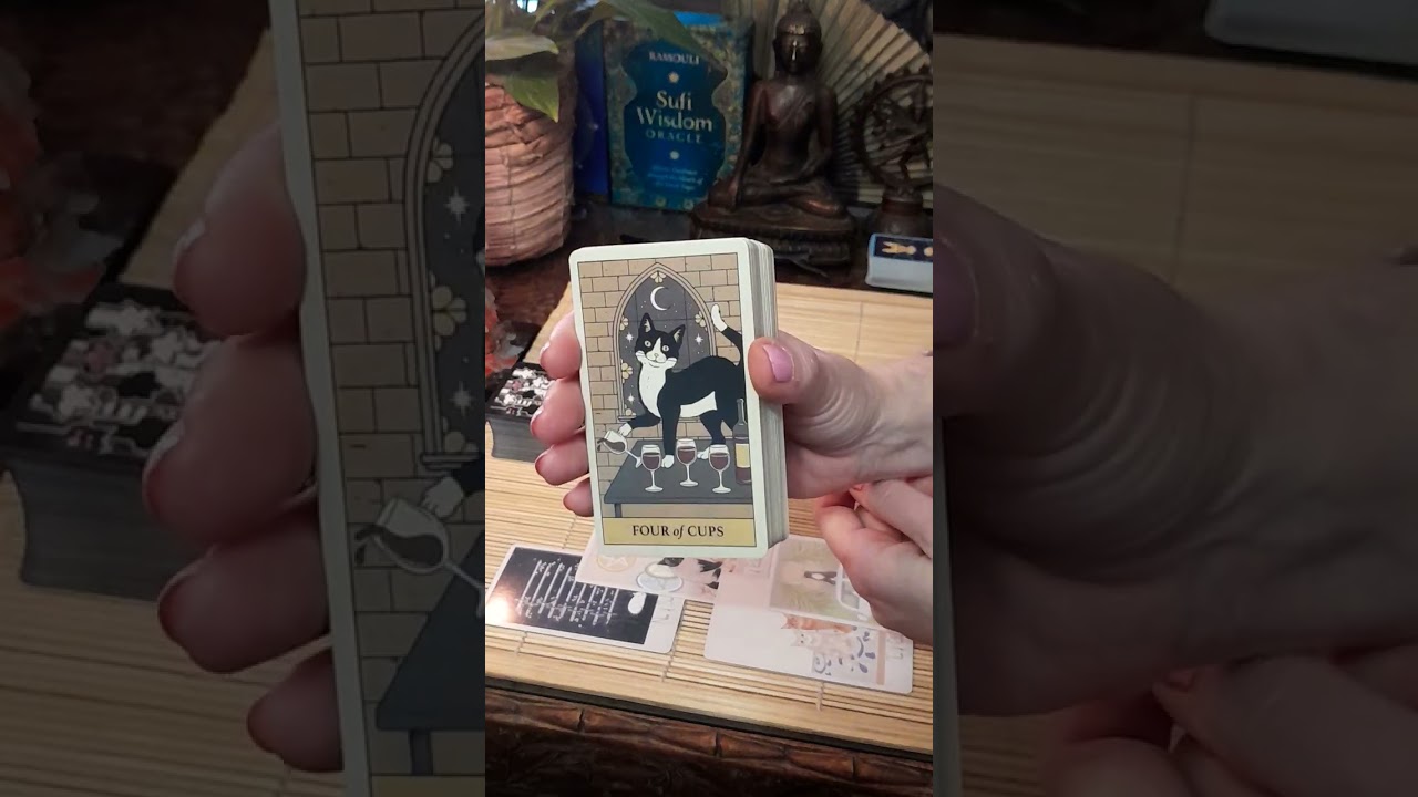 CANCER ❤️ They thought long & know it's YOU! 🐈‍⬛🔮 Caturday Love Reading 