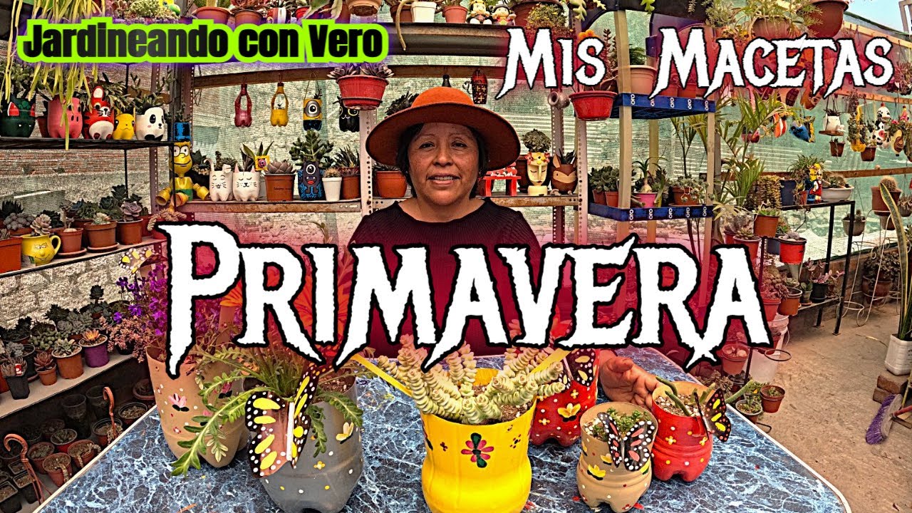 Trasplante en macetas  MARIPOSAS : Un toque mágico para tu jardín!