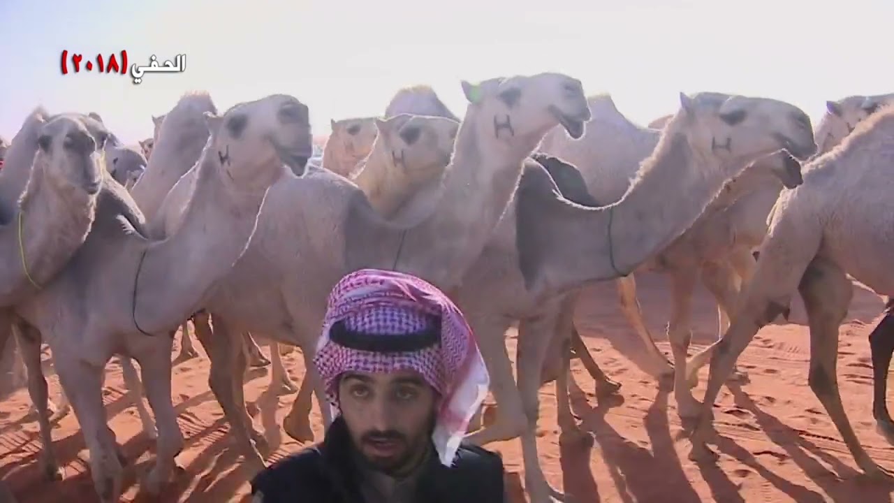 منقية /جدعان مسلم بن شويه