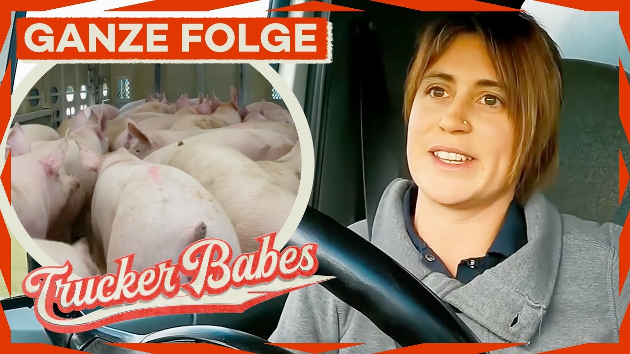 Kanada-Abenteuer: Janine und ihr zickiger Truck voller Schweine! 🐷 |GANZE FOLGE | Trucker Babes