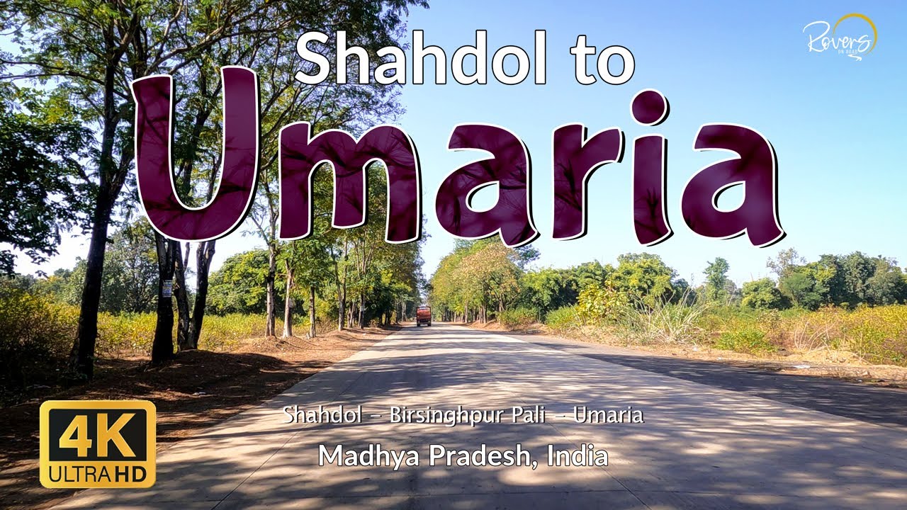 Shahdol to Umaria | Ambikapur to Bandhavgarh - EP2 | Birsinghpur Pali | 4K Drive