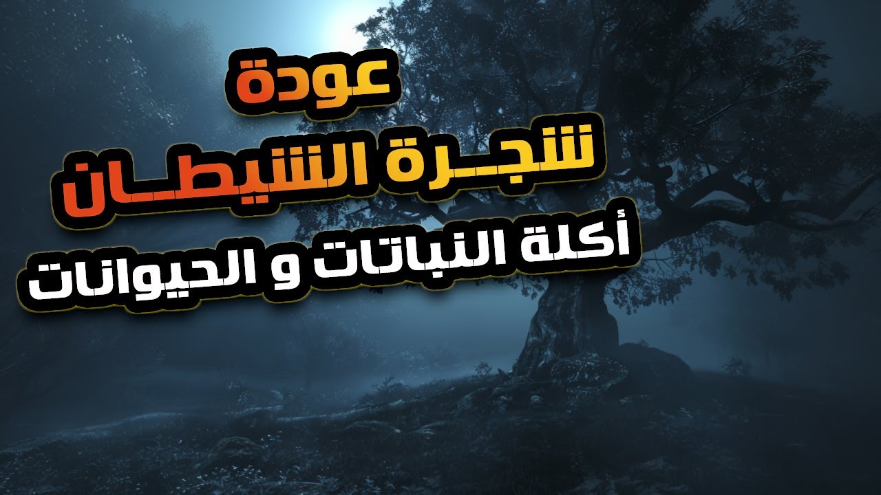 الشجرة الغامضة اللى هاجمت بعض الدول فى السبعينات رجعت من جديد..شجرة الشيطان