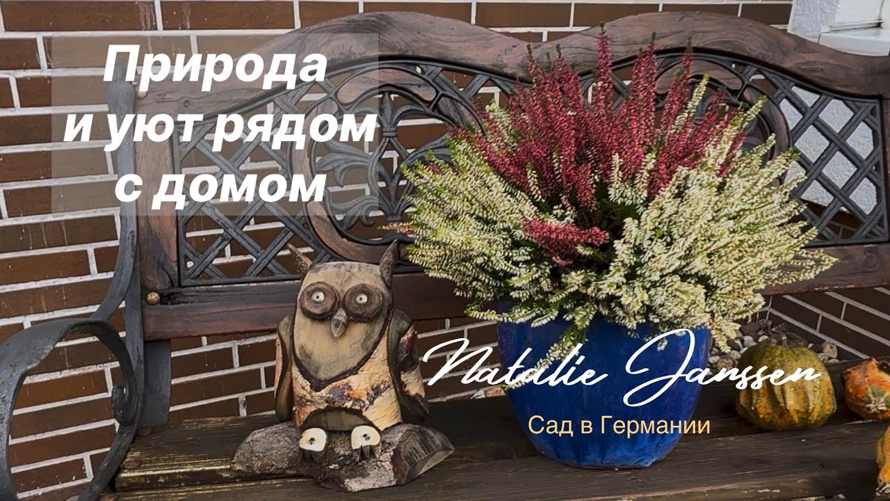 Тепло и зелень у дома 🌿 Как создают уютные палисадники в Германии 🌿