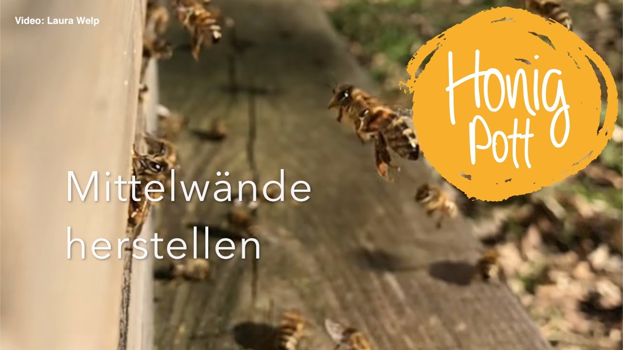 Mittelwände herstellen mit einer hochautomatisierten Maschine