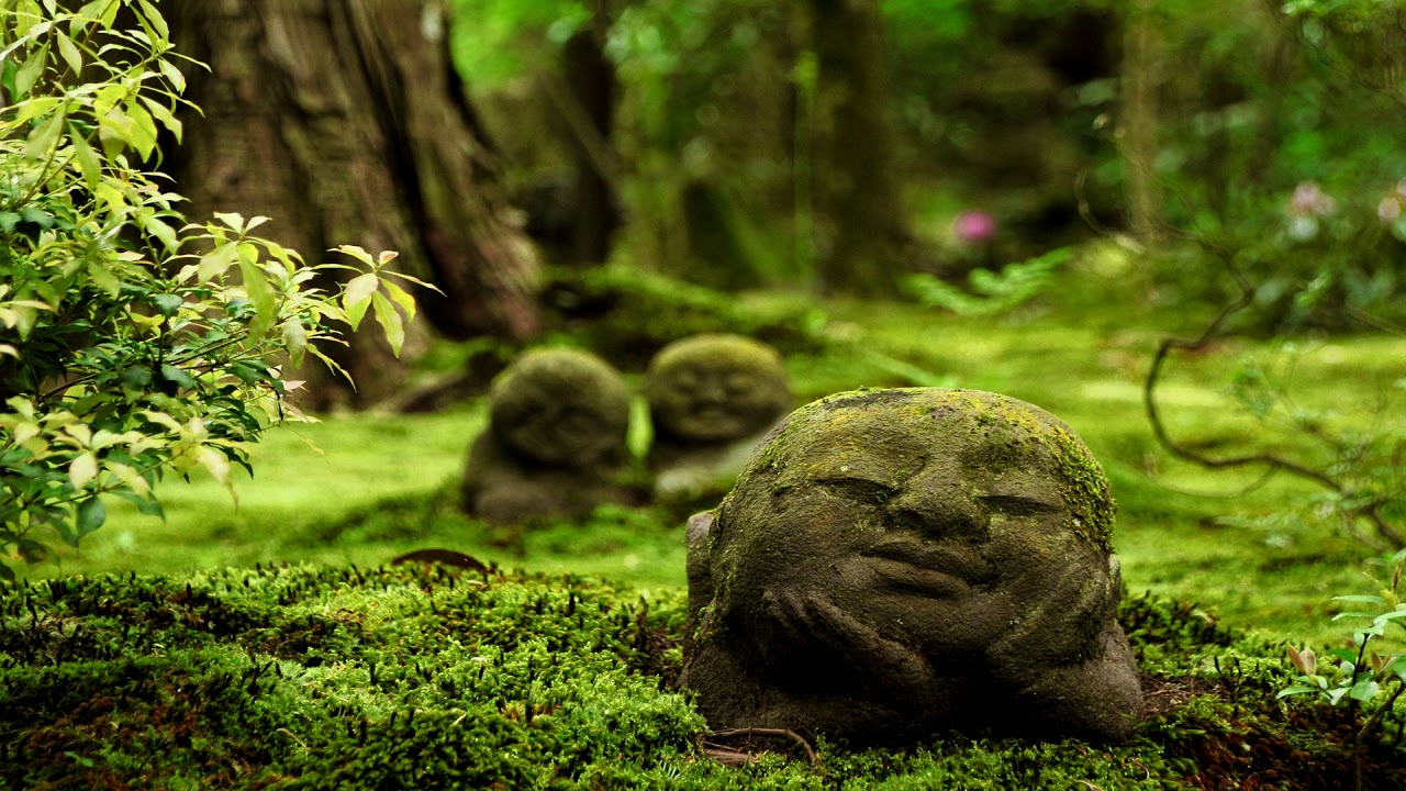 Traditional Japanese Music | Forest Spirits | Japanese Koto & Shakuhachi