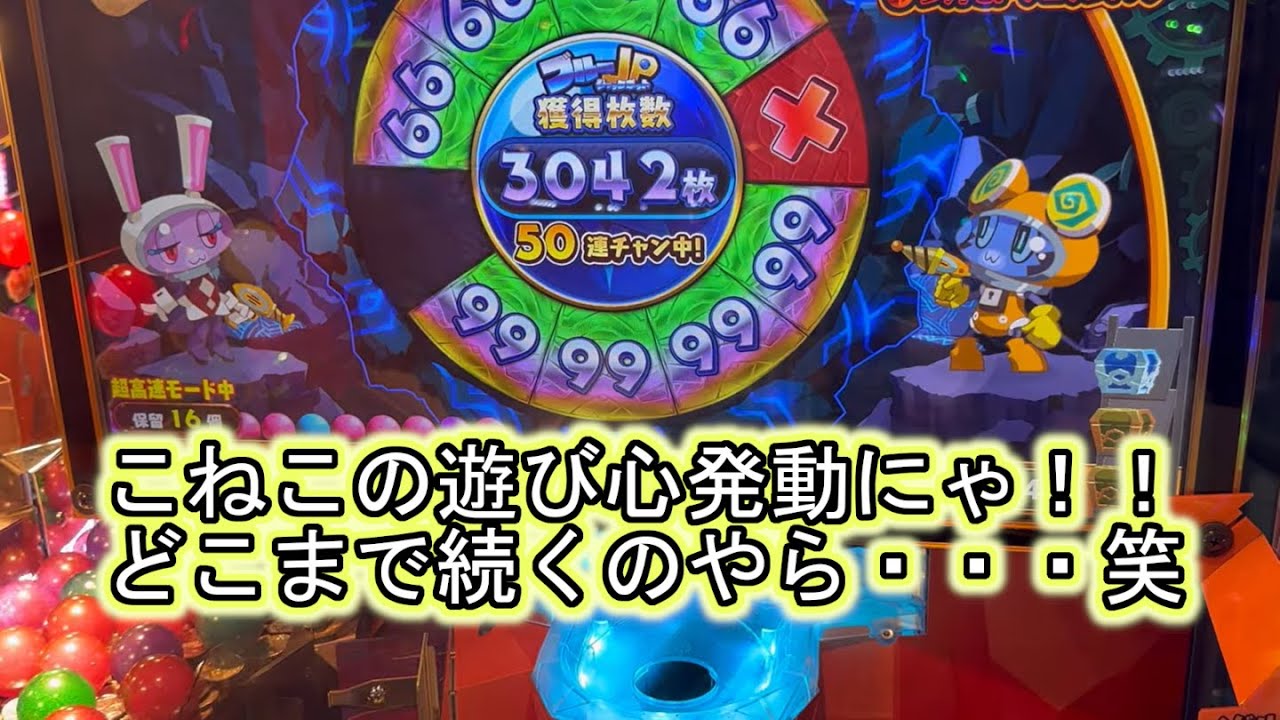 こねこのメダルゲーム日記No.779 久しぶりにホリアテール通常版　収支よりも記録を目指すにゃ！