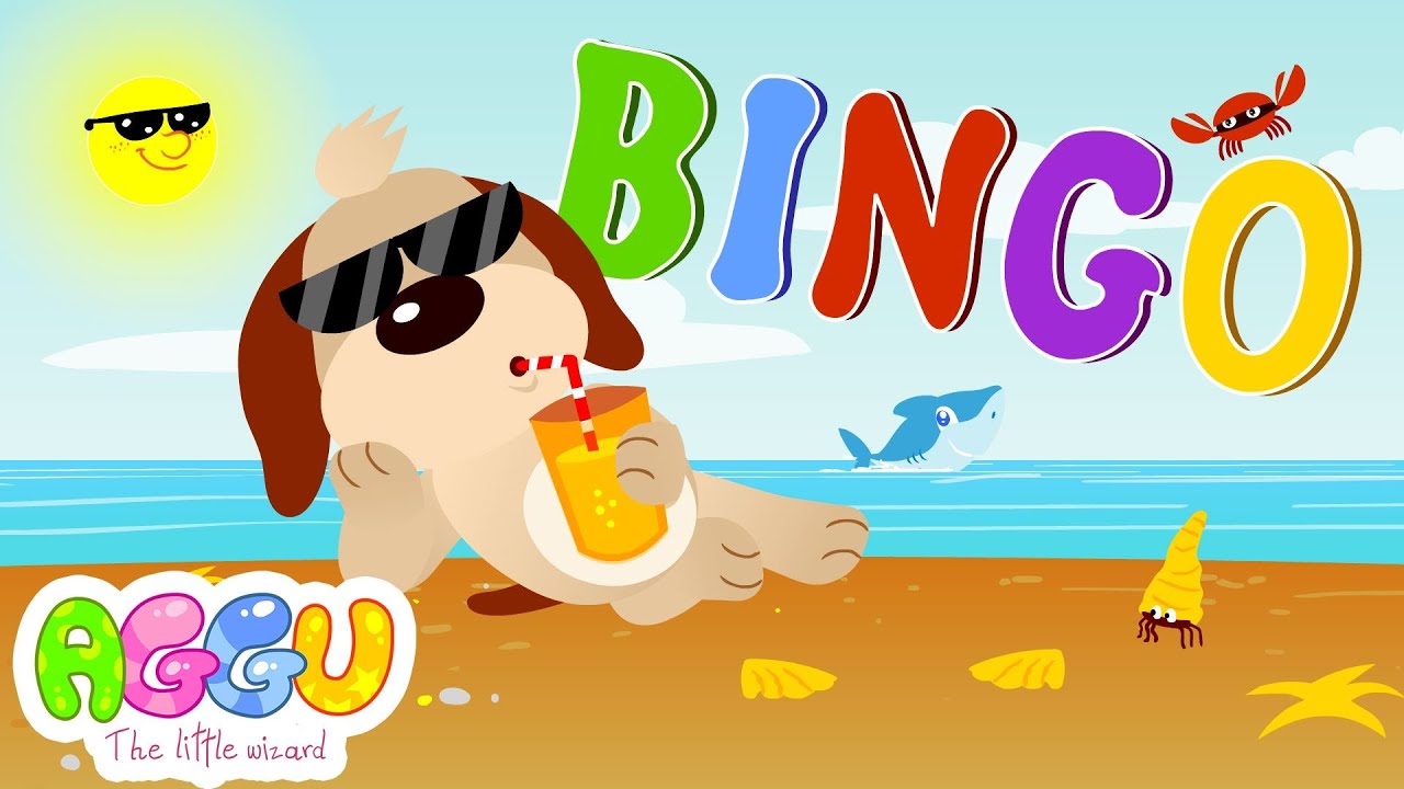 Bingo | Aggu - The Little Wizard