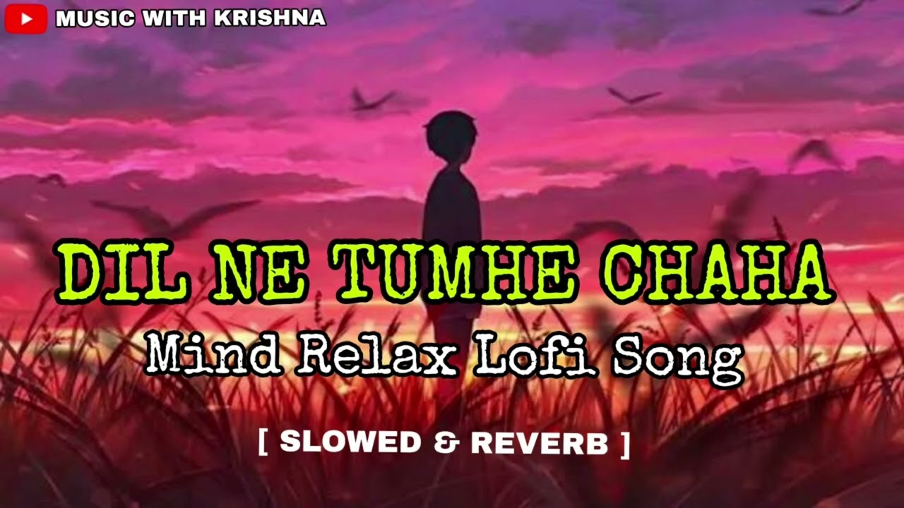 Dil Ne Tumhe Chaha | दिल ने तुम्हें चाहा | New Lofi song | 90s Sdabhar hindi song Romantic #song 