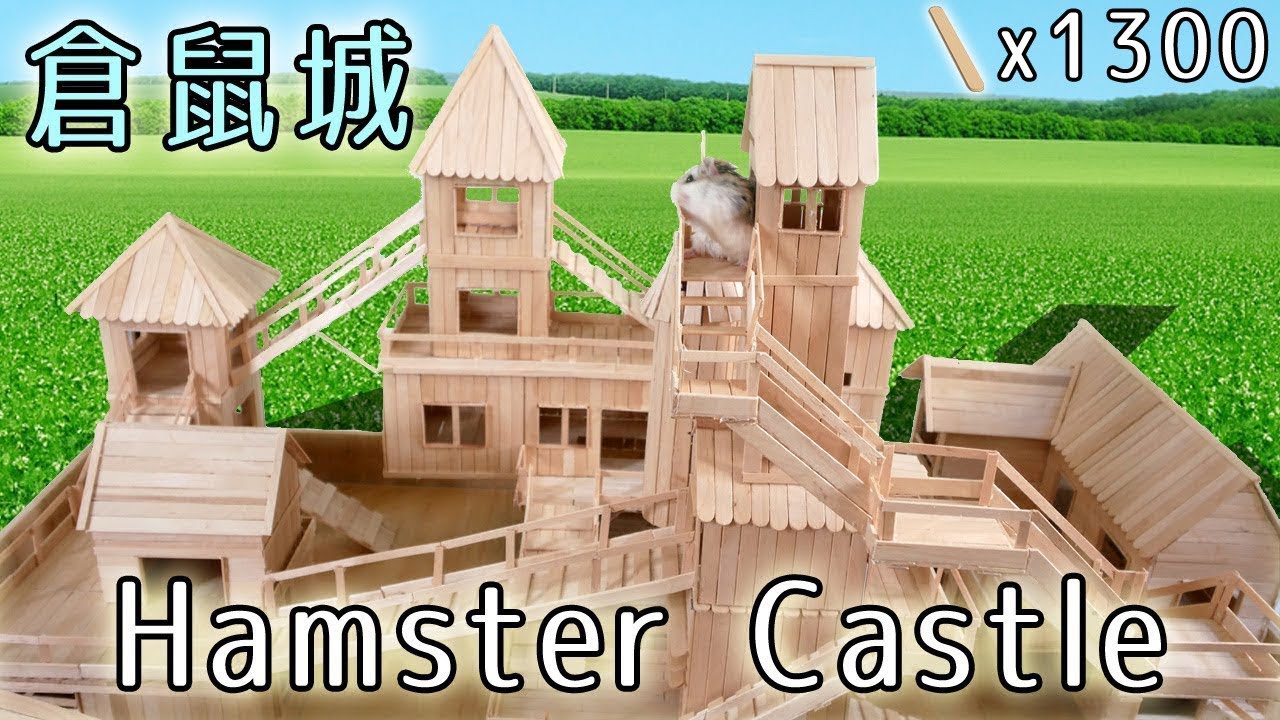 用1300根木棒製作的倉鼠城堡 Hamster Castle! 找不到公主的王子鼠們 :3