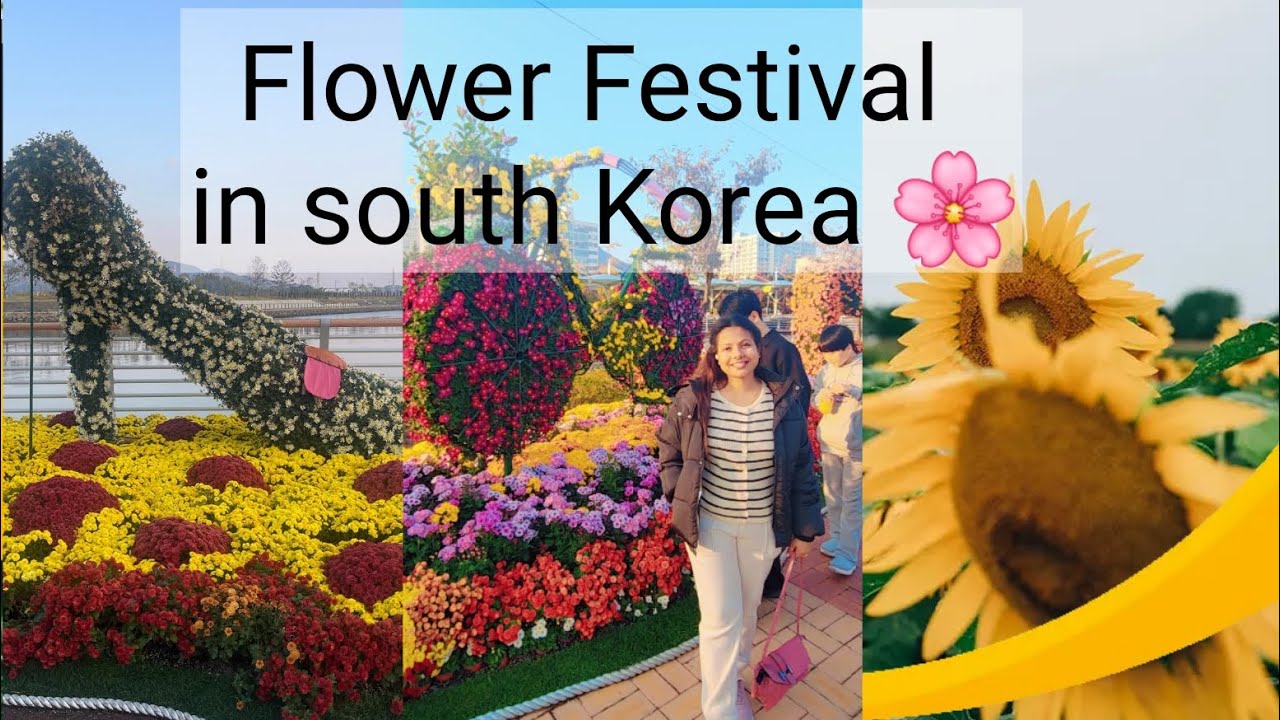 මල්වලින් මෙච්චර දෙයක් කරන්න පුලුවන්ද  😍 South korea 🇰🇷