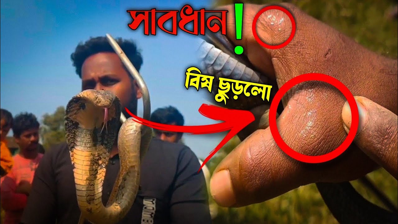 রেসকিউ করতে গিয়ে বিপজ্জনক অবস্থা , বিষ ছুড়লো❗| Samiran Barik Rescuer |