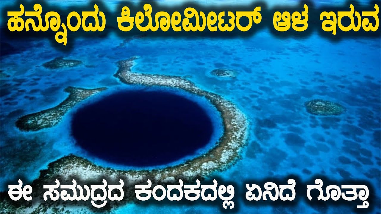 ಅತ್ಯಂತ ಆಳ ಇರುವ ಈ ಸಮುದ್ರದ ಕಂದಕದ ಯಾರು ಜೀವಿಸ್ತಾ ಇದ್ದಾರೆ   Who Lives At The Bottom Of Mariana Trench