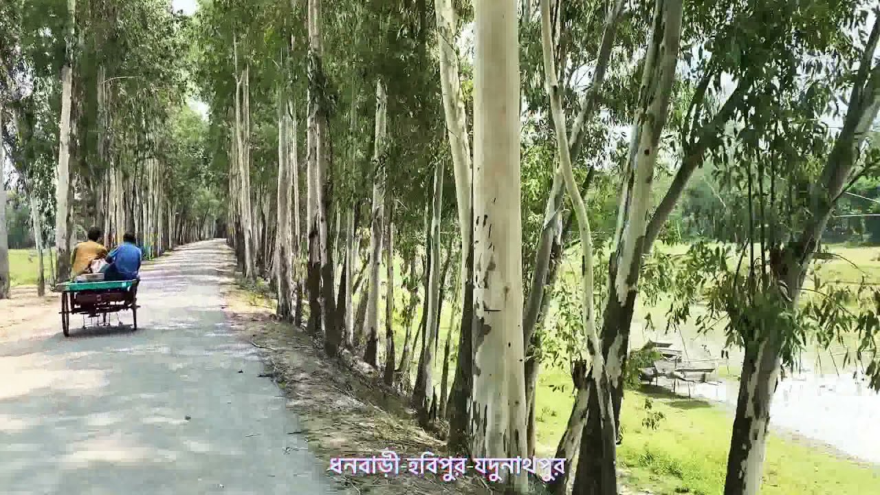 মধুপুর পাহাড় ॥ গারো পাহাড় ॥ Modhupur garo pahar ॥ Natural beauty of Bangladesh ॥ Tangail