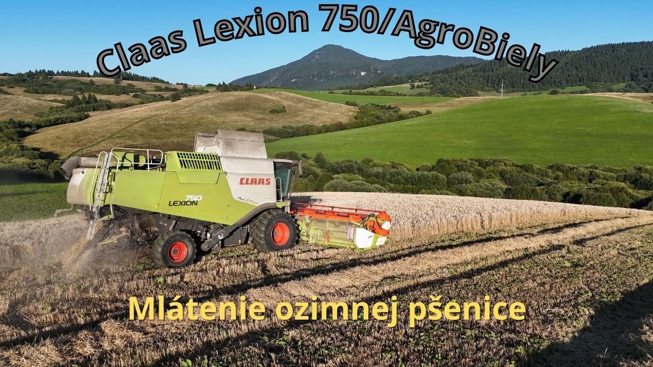 Mlátenie ozimnej pšenice - Claas Lexion 750/ AgroBiely