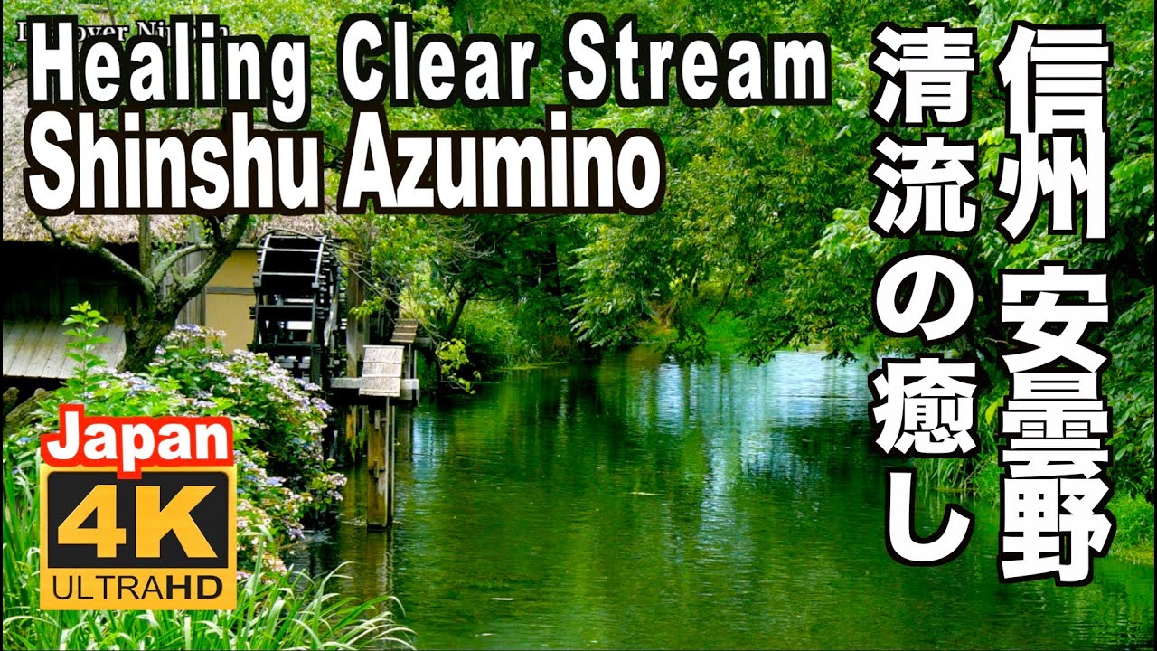 4K 信州 安曇野観光 清流と水車 Healing Clear stream 大王わさび園 日本の原風景 Natural sound Clear stream in Shinshu Azumino