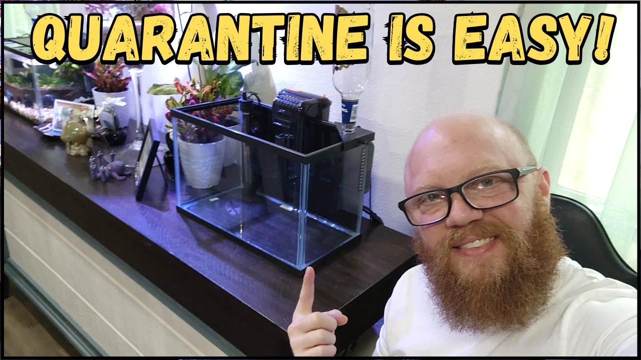 How to setup a saltwater QuaranTine tank and Tips!