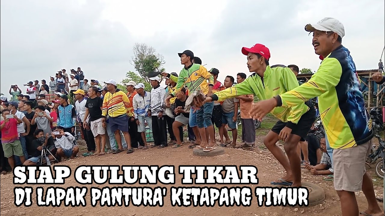 Merpati balap sprint Madura 22 Nov 2025