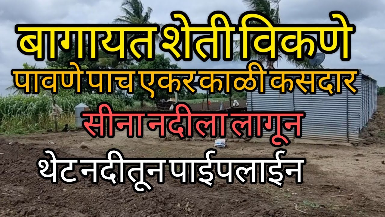 शेती विकणे बागायती पावणे पाच एकर नदीच्या कडेला थेट भीमा नदीवरून पाईपलाईन